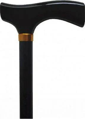 ΜΠΑΣΤΟΥΝΙ ΡΥΘΜΙΖΟΜΕΝΟ